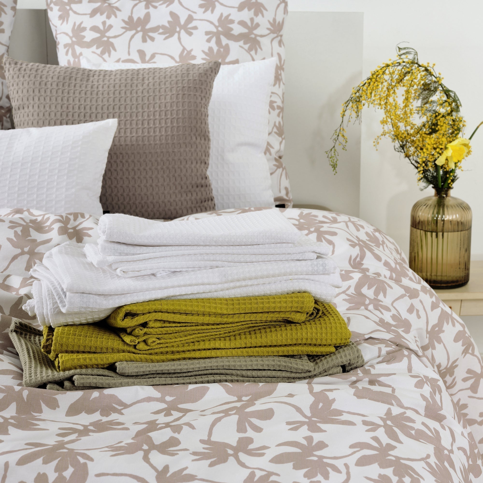 COLECCION SOFT